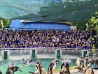 โครงการศึกษานอกสถานที่ “ป.4 : ท่องแดนมหัศจรรย์ในเขาเขียว” Image 74